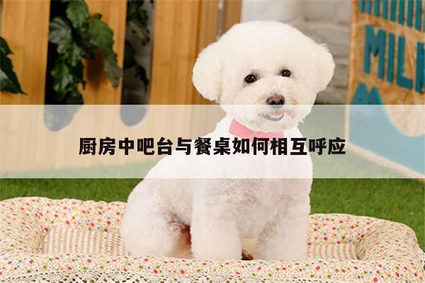 BetWay平台|厨房中吧台与餐桌如何相